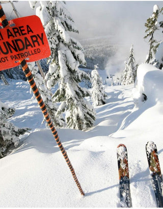Skis in deep powder snow near a ski area boundary sign, snowy trees in the background