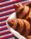 PULLIN - Boxer Master LOVECROISSANTS - LE CAPITAINE D'A BORD